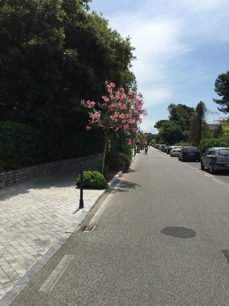 Albergo Battelli (Adults Only) Marina di Pietrasanta Exterior photo